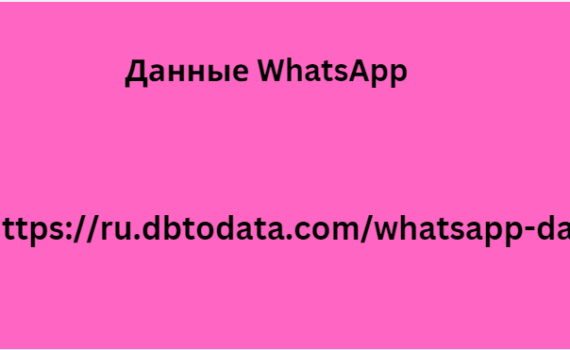 Данные WhatsApp